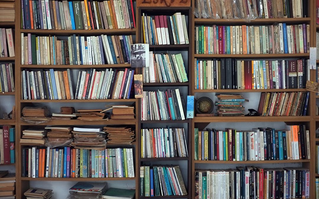 Fotolia_70437603_Artistan_canva_mini bibliothèque remplie à craquer de livres