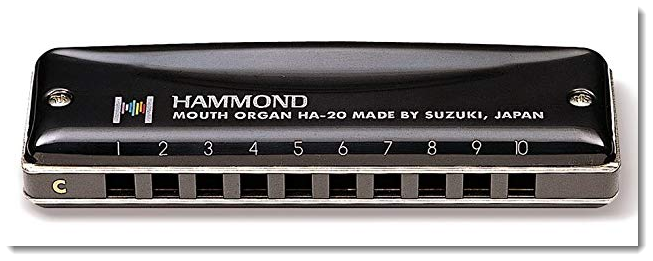 BDC-belle-photo harmonica-suzuki-hammond-ha-20-bête-de-course